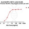 antibody-dme101208 nlrp3 elisa1