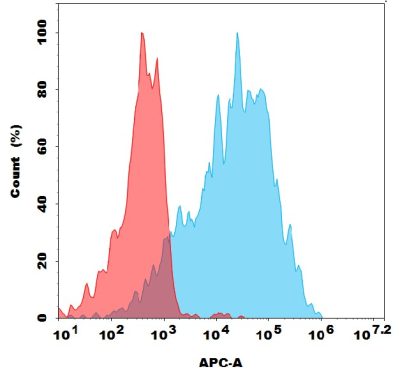 antibody-dme101293 ecscr fc1