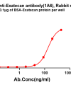 antibody-dme101319b exatecan elisa1