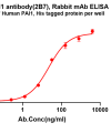 antibody-dme101331 pai1 elisa1