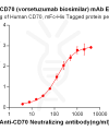 Elisa-BME100005 Anti CD70 vorsetuzumab biosimilar mAb Elisa fig1