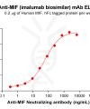 Elisa-BME100098 BM237 Anti MIF ELISA Fig1