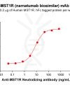 Elisa-BME100118 BM376 Anti MSTIR ELISA Fig1
