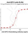 Elisa-BME100147 BM300 1 Anti GPC3 ELISA Fig1