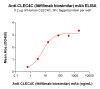 Elisa-BME100155 BM491 Anti CLEC4C ELISA Fig1 1
