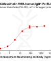 Elisa-BME100165 Mesothelin Fig.2 Elisa 1