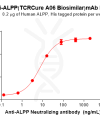 Elisa-BME100167 ALPP Fig.2 Elisa 1