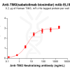 Elisa-BME100173 TIM3 Fig.2 Elisa 1