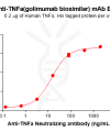 Elisa-BME100179 TNFα Fig.2 Elisa 1