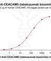 Elisa-bme100035b ceacam5 elisa1