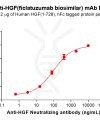 Elisa-bme100139 hgf elisa1