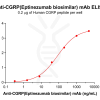 Elisa-bme100177 cgrp elisa1