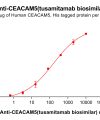 Elisa-bme100195b ceacam5 elisa1