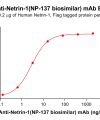 Elisa-bme100199 netrin 1 elisa1