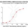 Elisa-bme100233 cdh17 elisa1