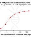 Elisa-bme100255 f11 elisa1