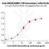 Elisa-bme100275 sez6 elisa1