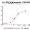Elisa-bme100279 bril elisa1