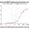 Elisa-bme100498b mapt elisa1