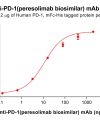 Elisa-bme100615 pd 1 elisa1