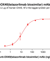 Elisa-bme100692 ox40 elisa1