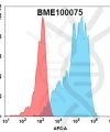 FC-Anti BME100075 CLDN18.2 mAb zolbetuximab