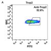 FC-BME100023 Anti Trop2 sacituzumab govitecan biosimilar mAb FLOW Fig1 A