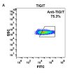 FC-BME100024 Anti TIGIT etigilimab biosimilar mAb FLOW Fig1 A