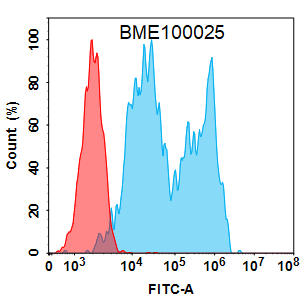 FC-BME100025 CD20 Fig.1 FC 1
