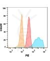 FC-BME100034 Anti EGFR mAbCetuximab biosimilar FLOW Fig2