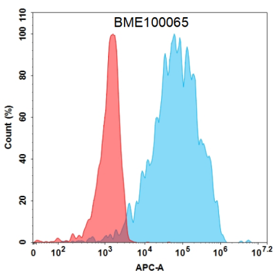 FC-BME100065 BM29 flow转染GITR