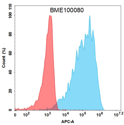 FC-BME100080 BM141 2 flow转染TSHR