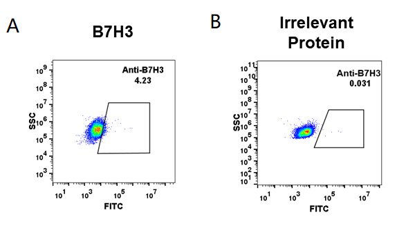 FC_combine-BME100010 Anti B7 H3 enoblituzumab biosimilar mAb FLOW Fig1