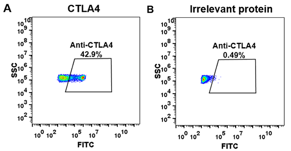 FC_combine-BME100022 Anti CTLA4 ipilimumab biosimilar mAb FLOW Fig1
