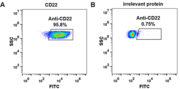 FC_combine-BME100029 Anti CD22 pinatuzumab vedotin biosimilar mAb FLOW Fig2