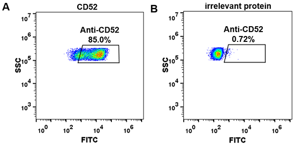 FC_combine-BME100030 Anti CD52 alemtuzumab biosimilar mAb FLOW Fig1