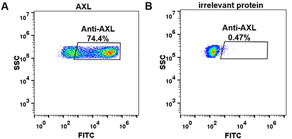 FC_combine-BME100033 Anti AXL enapotamab biosimilar mAb FLOW Fig2