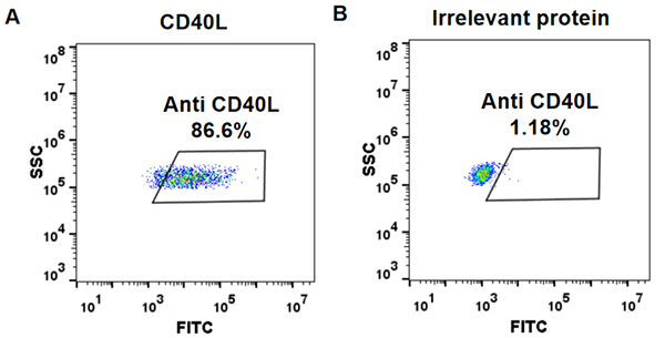 FC_combine-BME100042 Anti CD40L ruplizumab biosimilar mAb FLOW Fig1
