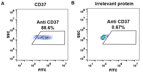 FC_combine-BME100046 Anti CD37 naratuximab biosimilar mAb FLOW Fig1
