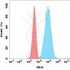 FC-bme100004p cd38 fc1