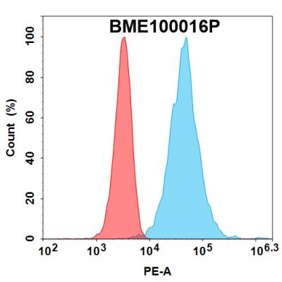 FC-bme100016p bcma fc1