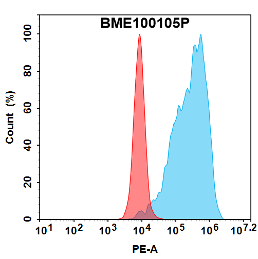 bme100105p-ccn2-fc1.png