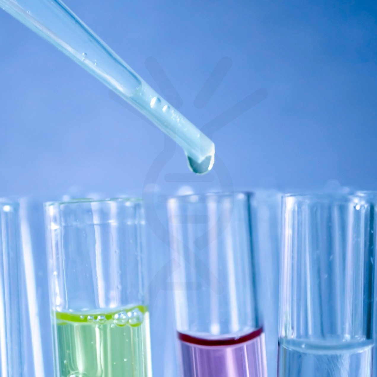 Biosimilar reference antibodies