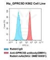 fc-cel100001 h gprc5d k562 cell line flow