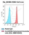 fc-cel100002 h bcma k562 cell line flow