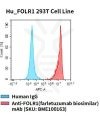fc-cel100024 hu folr1 293t cell line flow