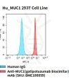 fc-cel100027 hu muc1 293t cell line flow