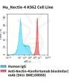 fc-cel100029 hu nectin 4 k562 cell line flow