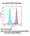 fc-cel100036 hu cd37 293t cell line flow