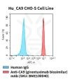fc-cel100045 hu ca9 cho s cell line flow
